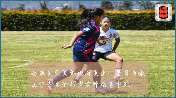 赵明剑荣昊邹德海复出，昔日与张玉宁齐名的27岁前锋沦落中冠